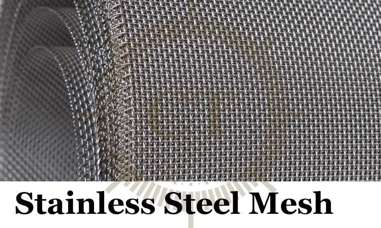 Stainless Steel Mesh
